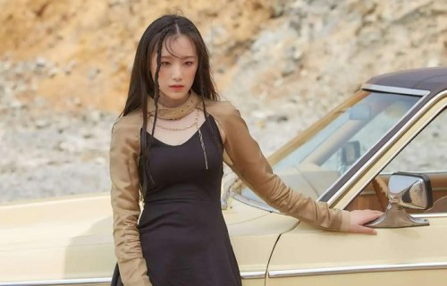 叶舒华是哪里人?