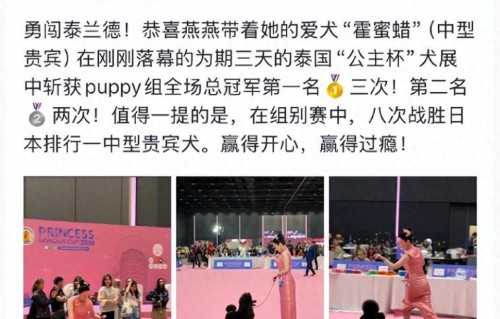 从“七仙女”到冠军牵犬师：霍思燕的中年突围，活成了所有女人羡慕的样子，杜江三连感叹号庆祝