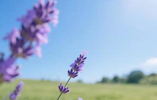 越安静的人，内心越强大