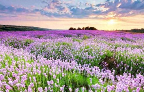 做了婆婆后才明白：婆媳关系好的秘诀，就是这6件事