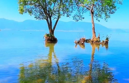 婆媳矛盾的根源，就是丈夫的无能和不作为