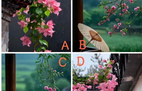 老了才明白，年轻时拼命追求的成功，其实没那么重要