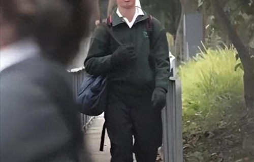 谭咏麟32岁儿子：智性恋天花板，才貌双全，如今在加拿大做工程师